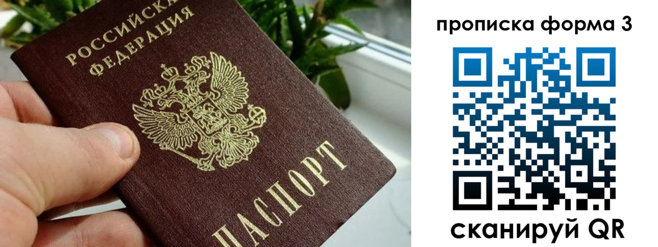 прописка паспорт в Копейске